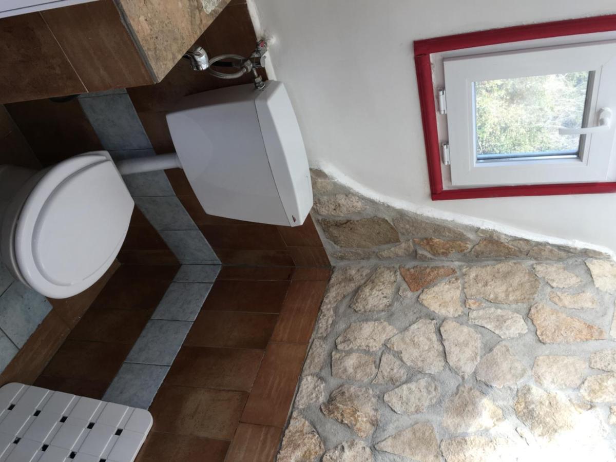 Camilla House Panzió Santa Marinella Kültér fotó